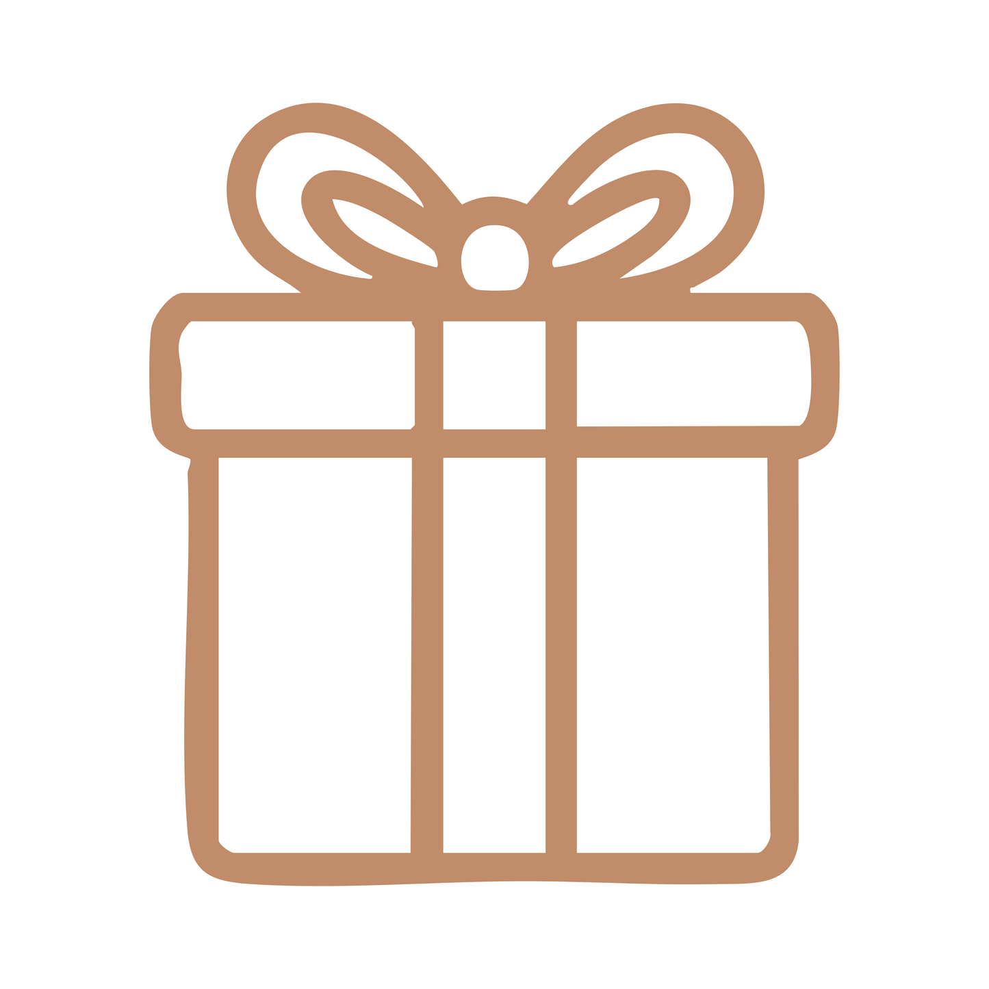 Mystery Gift